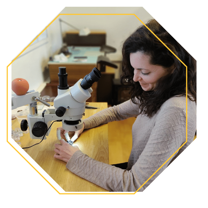 Artisan émailleur horlogerie